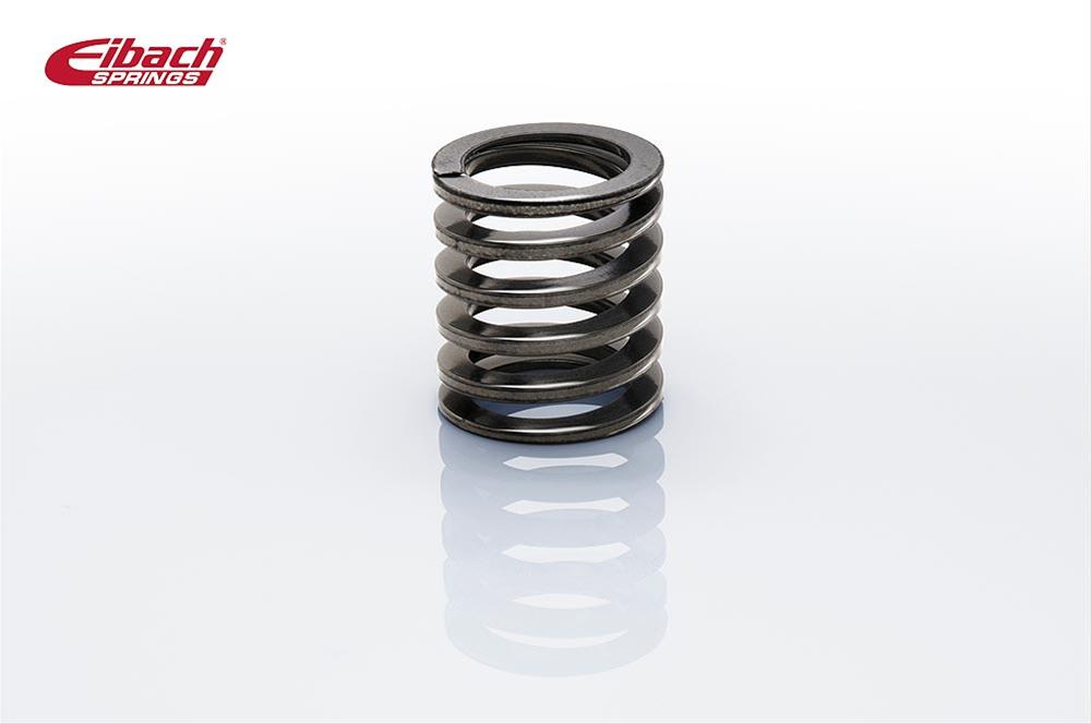 Eibach ERS Tender Springs 0175.225.0250