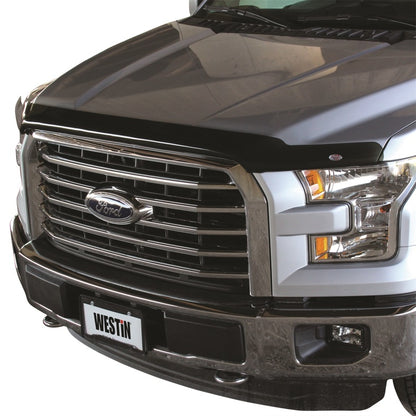 Westin Platinum Bug Shields 72-96154