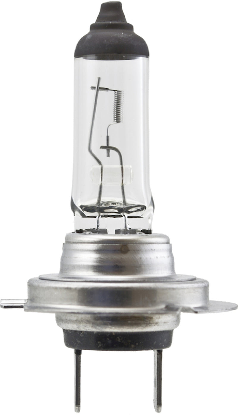 Hella High Wattage Bulb H7 12V 100W PX26d T4.6 H7 100W