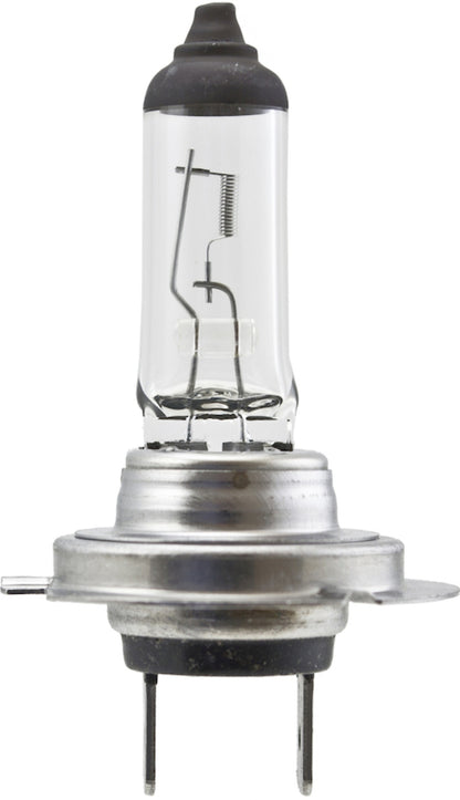 Hella High Wattage Bulb H7 12V 100W PX26d T4.6 H7 100W