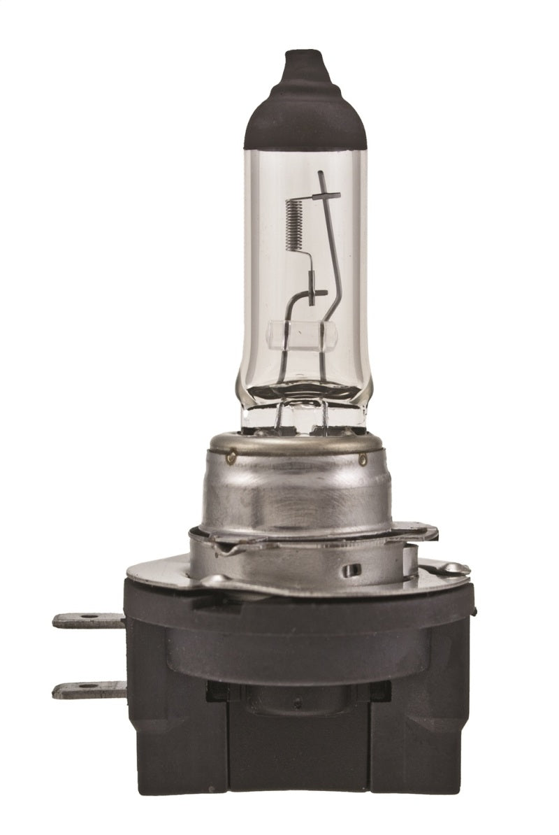 Hella Light Bulbs H11B