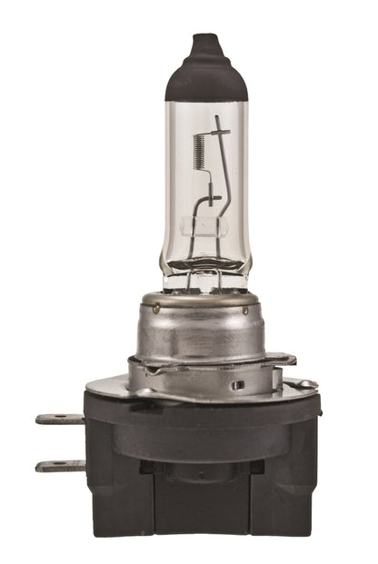 Hella Light Bulbs H11B