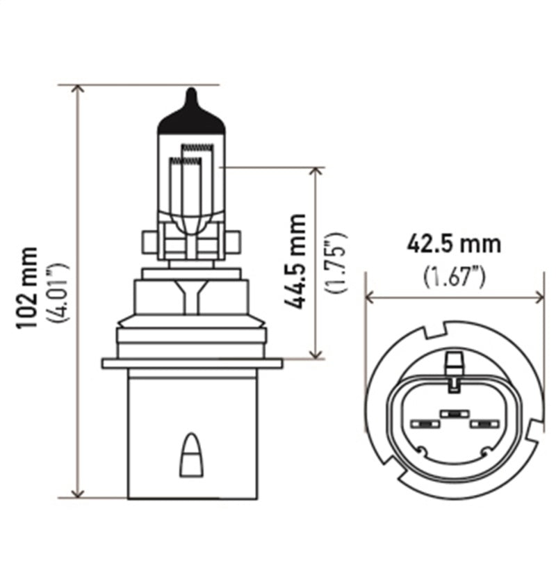 Hella Bulb 9004 12V 65/45W P29T T4625 +50 9004P50