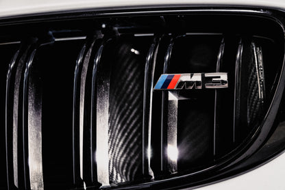 AMS Performance 15-18 BMW M3 / 15-20 BMW M4 w/ S55 3.0L Turbo Engine Carbon Fiber Intake AMS.39.08.0001-1