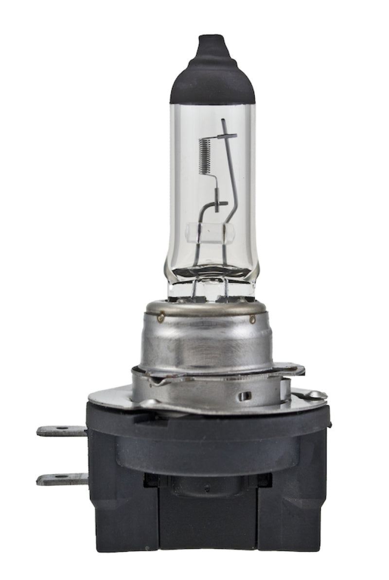 Hella Light Bulbs H11B