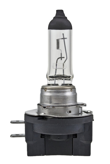 Hella Light Bulbs H11B