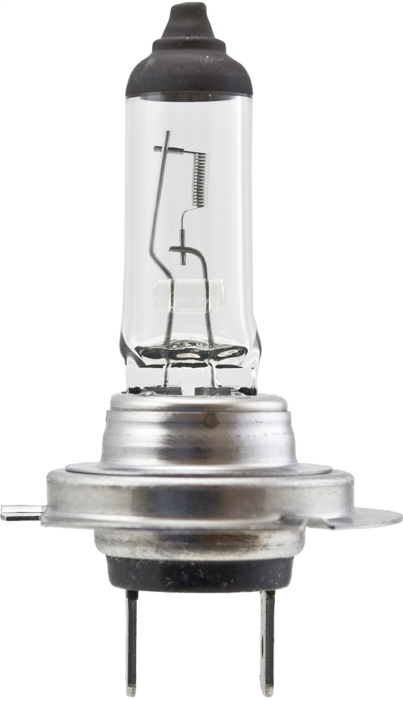 Hella High Wattage Bulb H7 12V 100W PX26d T4.6 H7 100W