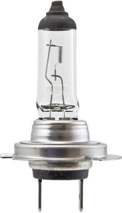 Hella High Wattage Bulb H7 12V 100W PX26d T4.6 H7 100W