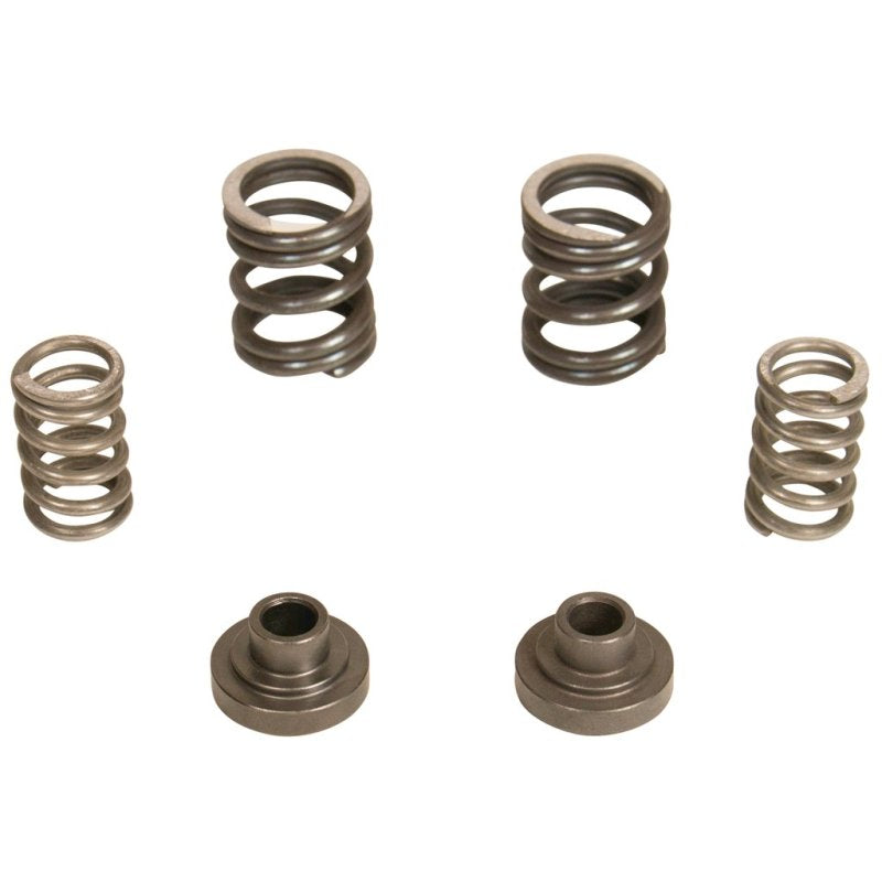 BD Diesel Governor Spring Kit 3000rpm - 1994-1998 Dodge 12-valve/P7100 Pump 1040187