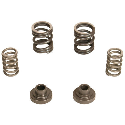 BD Diesel Governor Spring Kit 3000rpm - 1994-1998 Dodge 12-valve/P7100 Pump 1040187