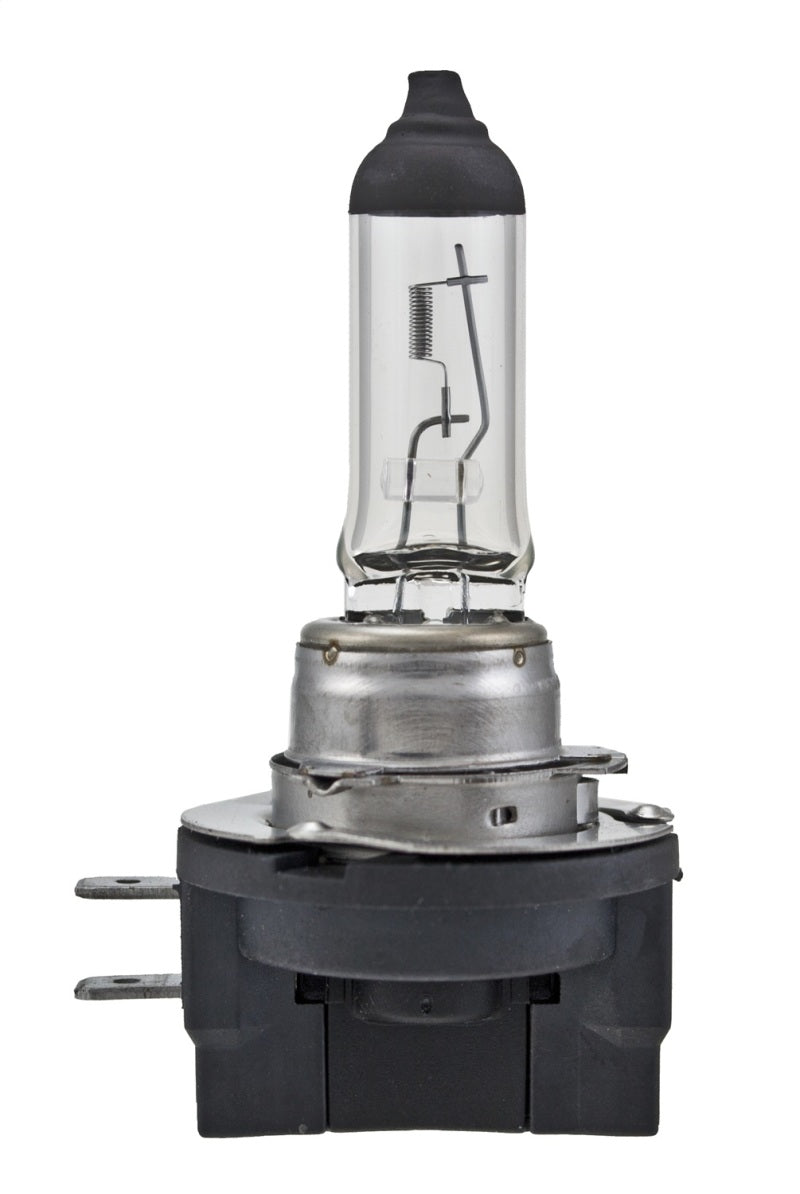 Hella Light Bulbs H11B