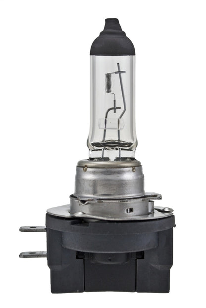 Hella Light Bulbs H11B