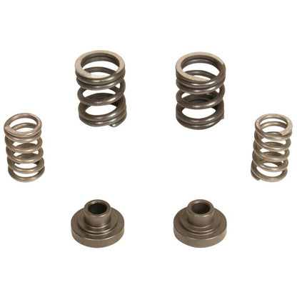 BD Diesel Governor Spring Kit 3000rpm - 1994-1998 Dodge 12-valve/P7100 Pump 1040187