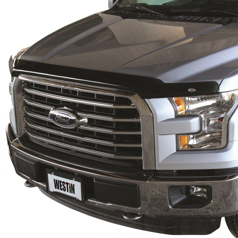 Westin Platinum Bug Shields 72-96154