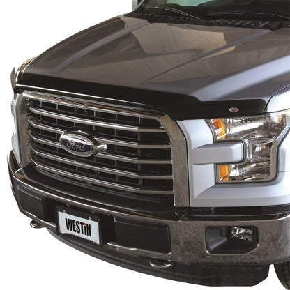 Westin Platinum Bug Shields 72-96154
