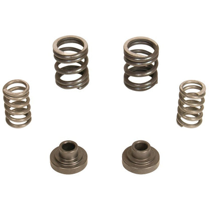 BD Diesel Governor Spring Kit 3000rpm - 1994-1998 Dodge 12-valve/P7100 Pump 1040187