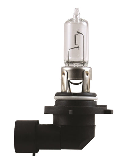 Hella Bulb 9005 12V 65W P20D T4 +50 9005P50