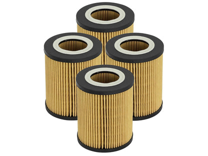 aFe Pro GUARD D2 Oil Filters 44-LF022-MB