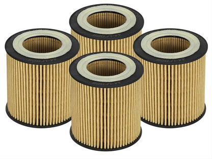 aFe Pro GUARD D2 Oil Filters 44-LF029-MB