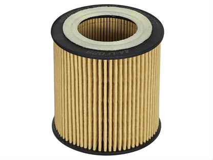 aFe Pro GUARD D2 Oil Filters 44-LF029