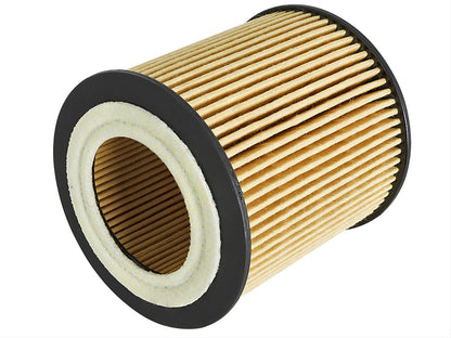 aFe Pro GUARD D2 Oil Filters 44-LF029