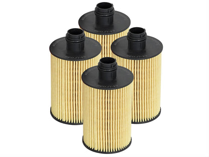 aFe Pro GUARD HD Oil Filters 44-LF035-MB