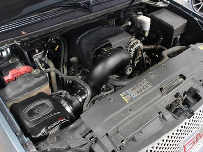aFe Momentum GT Pro Dry S Air Intake Systems 51-74102