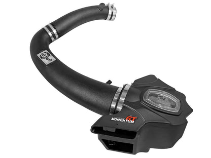 aFe Momentum GT Pro Dry S Air Intake Systems 51-76207