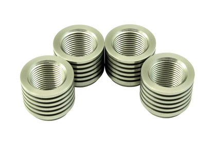 AEM Electronics Weld-In Bungs 30-4008
