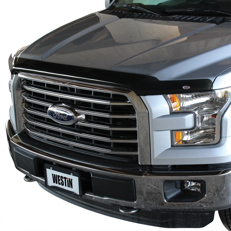 Westin Platinum Bug Shields 72-96154