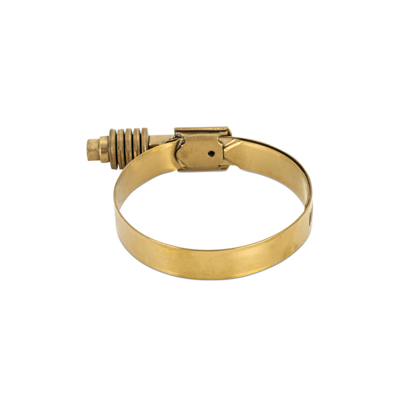 Mishimoto Hose Clamps MMCLAMP-CTWG-54GD