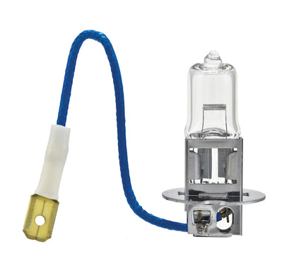 Hella Bulb H3 12V 55W Pk22S T325 +50 H3P50