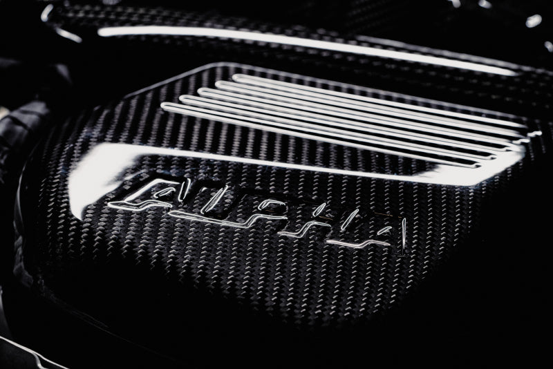 AMS Performance 15-18 BMW M3 / 15-20 BMW M4 w/ S55 3.0L Turbo Engine Carbon Fiber Intake AMS.39.08.0001-1