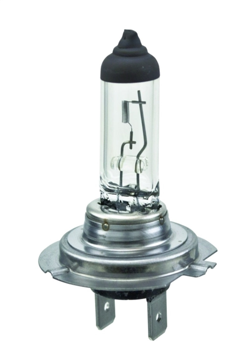 Hella Bulb H7 12V 55W Px26D T4625 +50 H7P50
