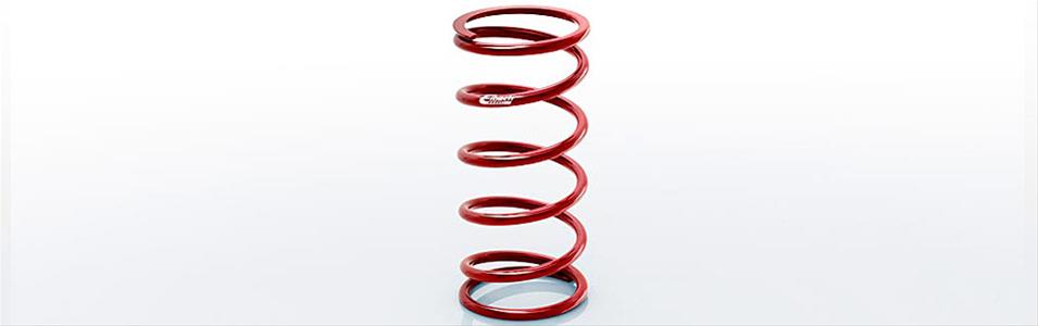 Eibach Coilover Springs 0600.300.0100S