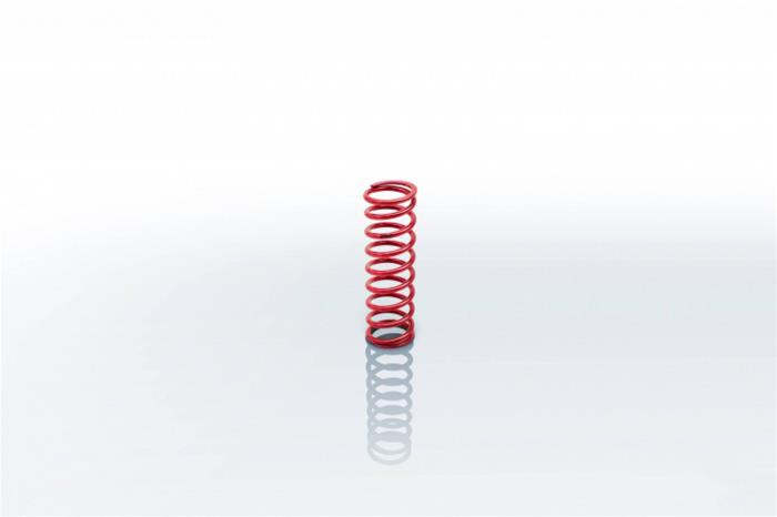 Eibach Coilover Springs 0800.225.0500