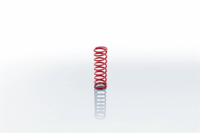 Eibach Coilover Springs 1000.250.0700