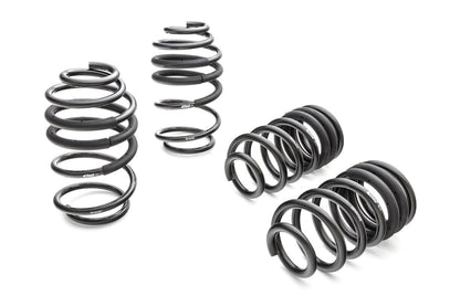 Eibach Pro-Kit Lowering Springs 38144.14 38144.140