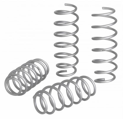 Eibach Pro-Kit Lift Springs E30-51-018-01-22