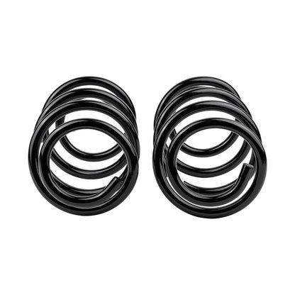Old Man Emu Lift Coil Springs 2731