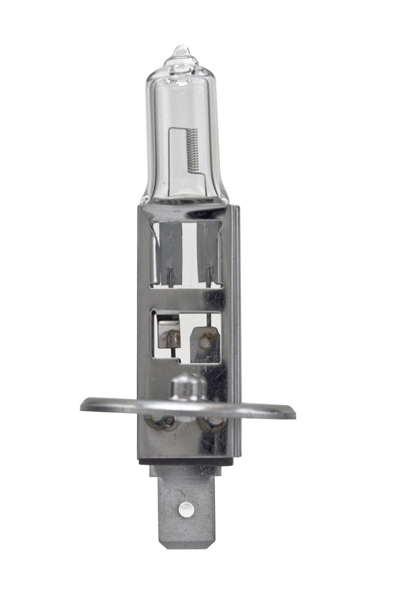 Hella Bulb H1 12V 55W P145S T25 +50 H1P50