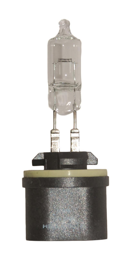 Hella Standard Series Light Bulbs 884