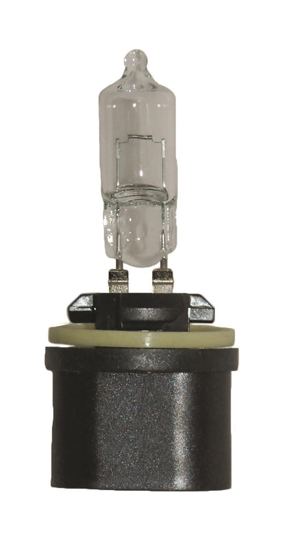 Hella Standard Series Light Bulbs 890