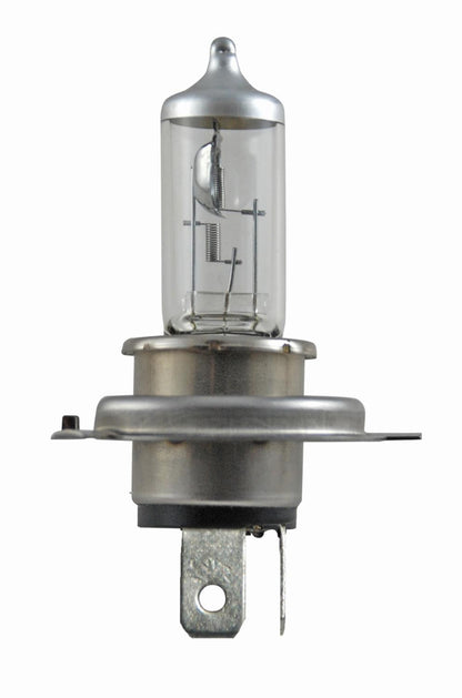 Hella High Performance Series Light Bulbs H4P50TB