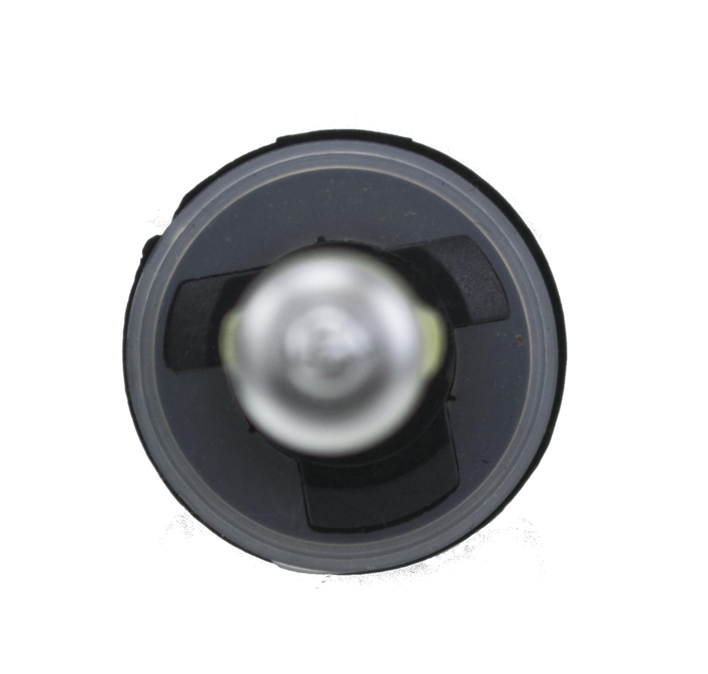Hella Optilux Extreme XY Light Bulbs H71071172