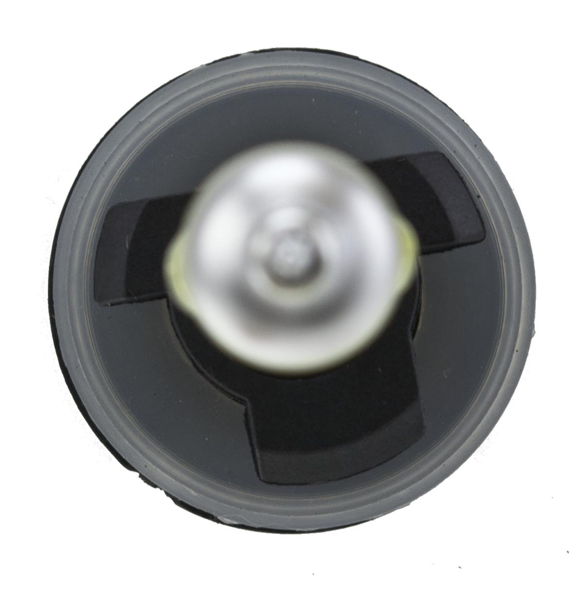 Hella Optilux Extreme XY Light Bulbs H71071192