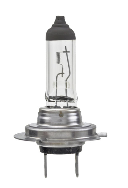 Hella Standard Series Light Bulbs H7SB