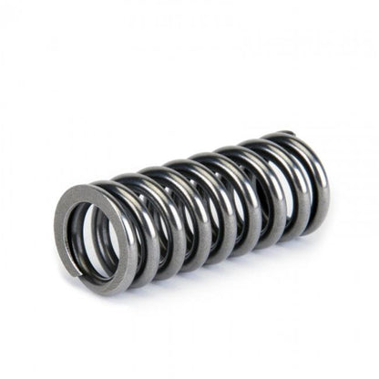 Skunk2 Racing Alpha Valve Springs 311-05-1345