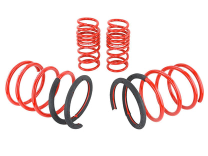 Skunk2 Racing Lowering Springs 519-05-1670