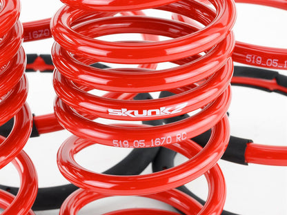 Skunk2 Racing Lowering Springs 519-05-1670